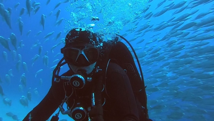 Potápění na Tenerife pro certifikované potápěče (2 ponory)