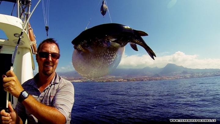 Sportovní rybaření Tenerife